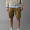 AE Flex 10" Lived-In Cargo Short