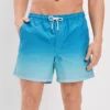 AE 5.5" Ombre Swim Trunk