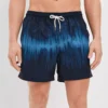 AE 5.5" Swim Trunk -HypeWardrobe Store 0133 7442 487 of