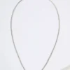 AEO Silver Chain Necklace