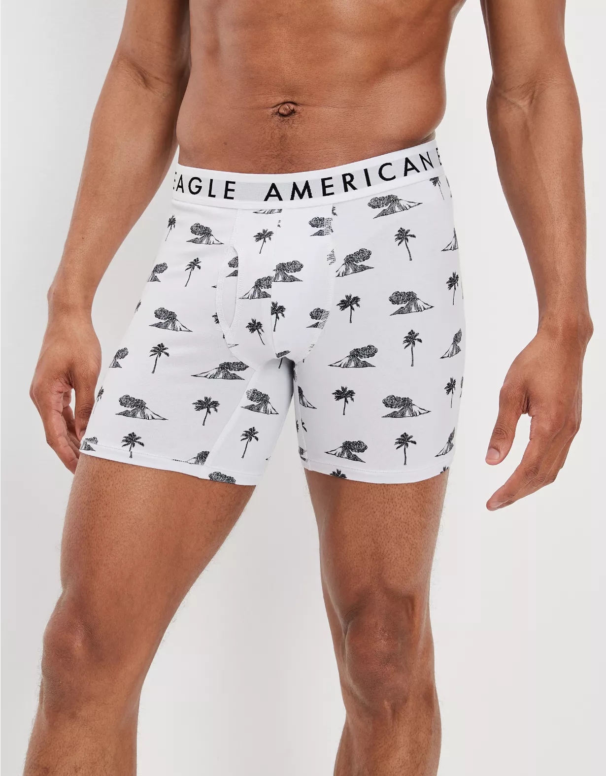 AEO Volcano Isle 6" Classic Boxer Brief 3 AEO Volcano Isle 6" Classic Boxer Brief