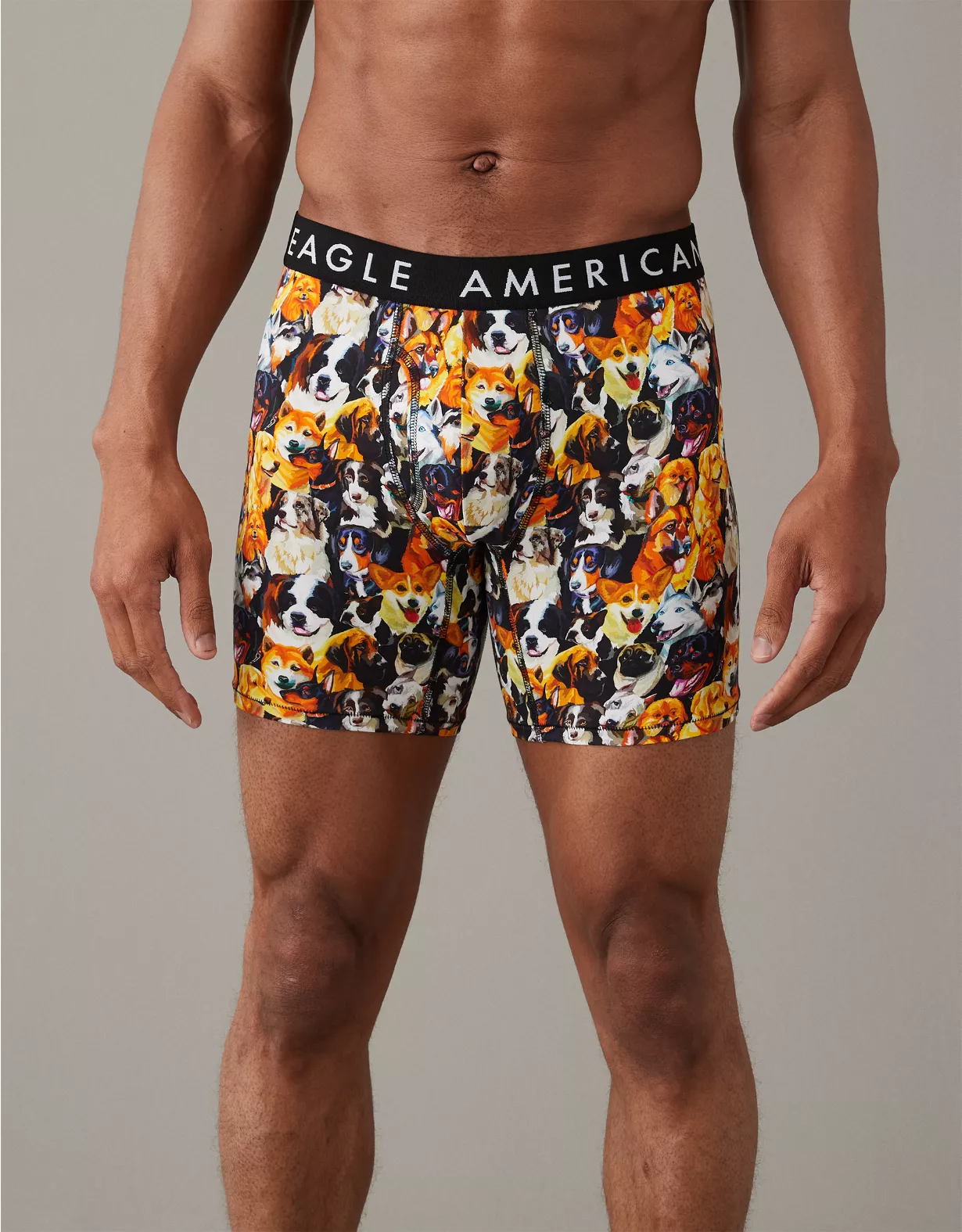 AEO Dogs 6" Classic Boxer Brief 3 AEO Dogs 6" Classic Boxer Brief