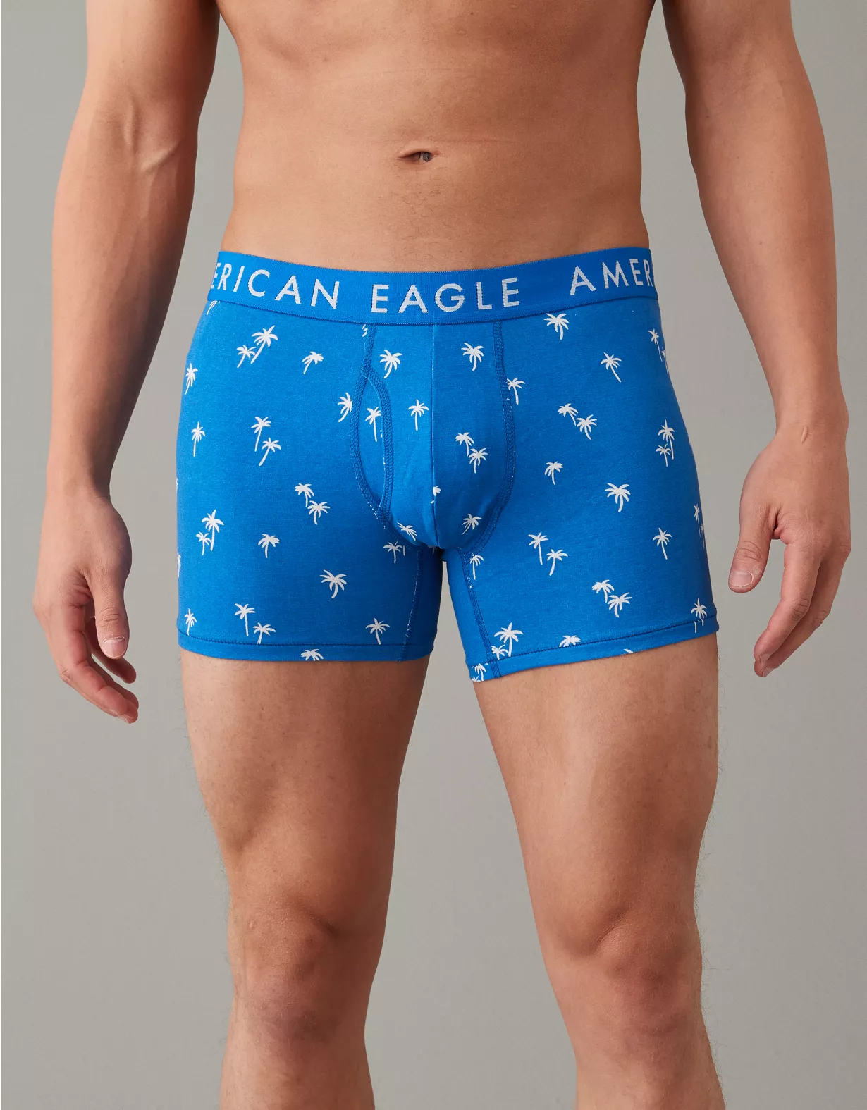 AEO Palm Trees 4.5" Classic Boxer Brief 3 AEO Palm Trees 4.5" Classic Boxer Brief